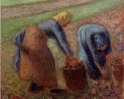 卡米耶 毕沙罗 : Potato Harvest